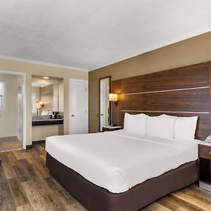 Deluxe Room 1 King Bed Non Smoking